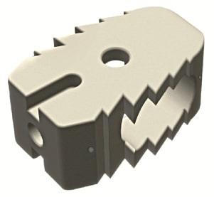 Поперековий кейдж (PLIF) 8х10х25